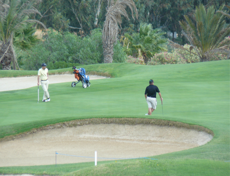 Jardi Vert pour votre jardin